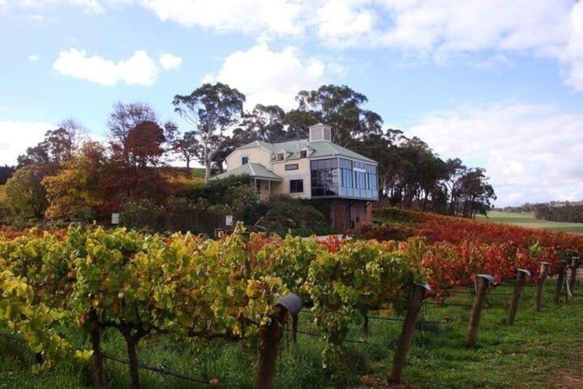 Hahndorf Hill Winery