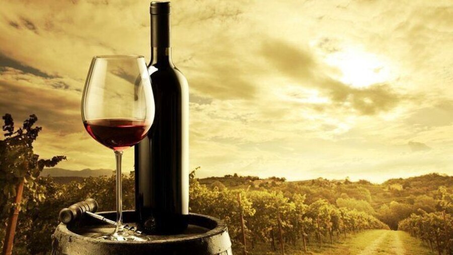 Wine Tasting Experience