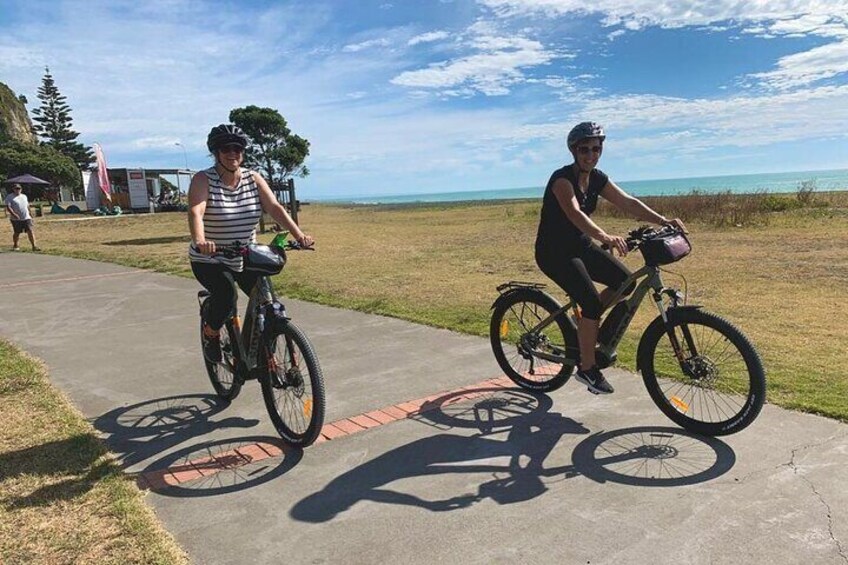 Napier: Shore Excursion Cycle Winery Tour - Half Day