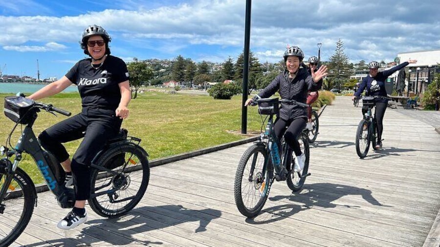 Napier: Shore Excursion Cycle Winery Tour - Half Day, self-guided