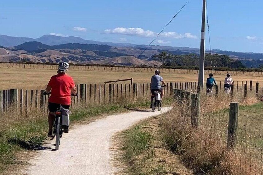 Napier: Shore Excursion Cycle Winery Tour - Half Day