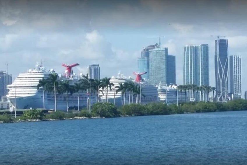 COMBO Miami City and Boat Tours with Stops at Wynwwod and Little Havana