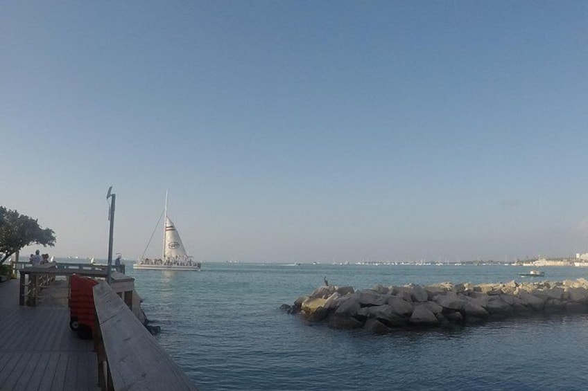 Full-Day Key West Tour and Coral Reef Snorkeling with Open Bar