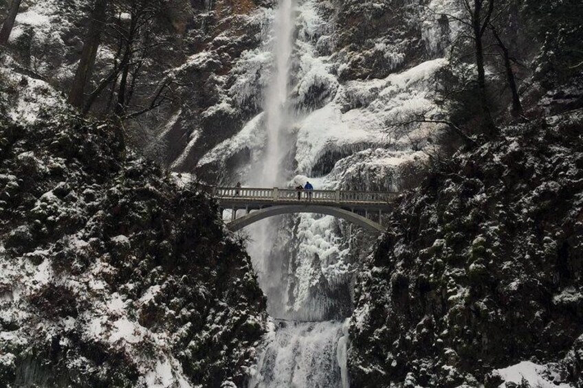 Explore Columbia River Gorge Half-Day Small-Group Tour 