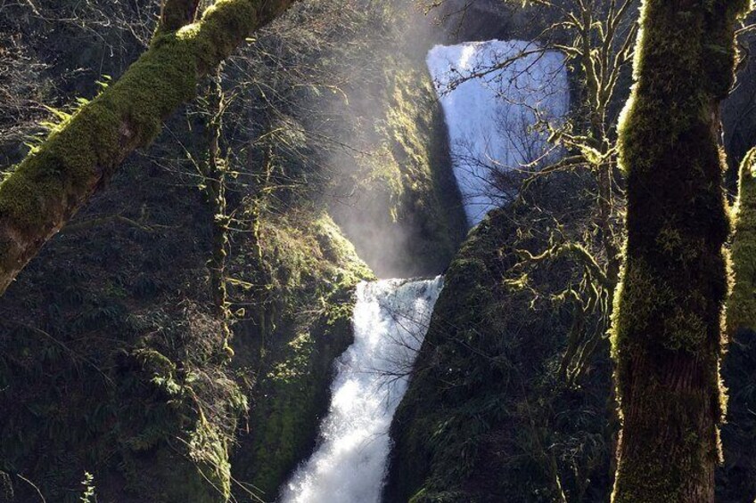 Explore Columbia River Gorge Half-Day Small-Group Tour