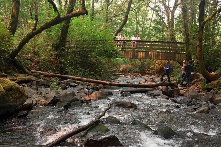 Explore Columbia River Gorge Half-Day Small-Group Tour