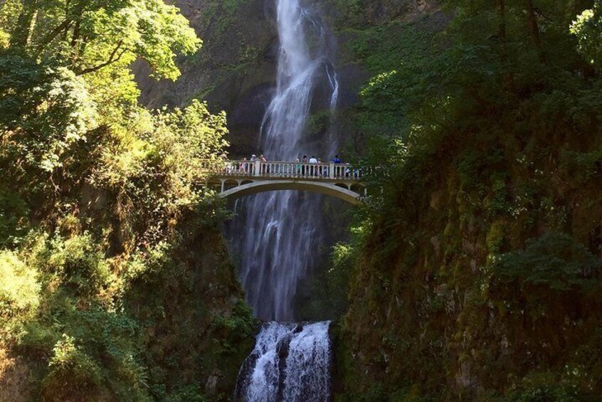 Explore Columbia River Gorge Half-Day Small-Group Tour