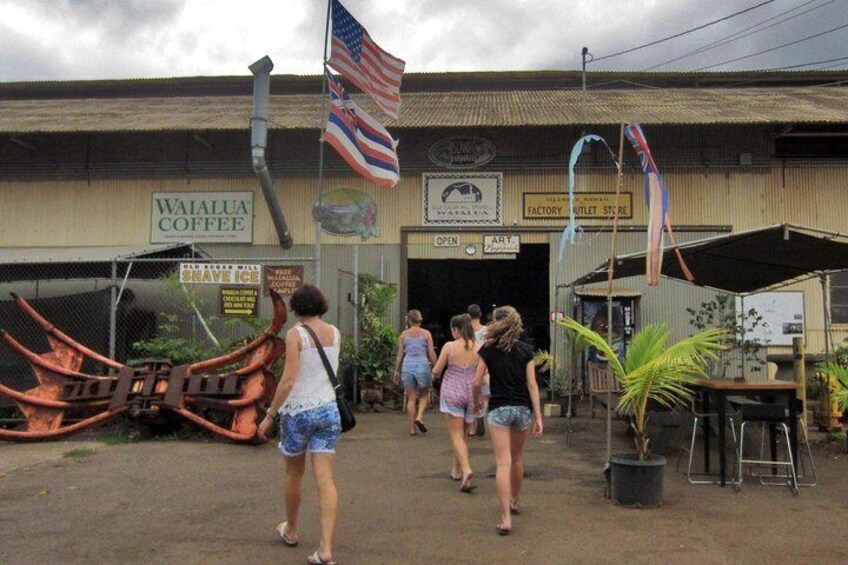 Coffee & Chocolate farm