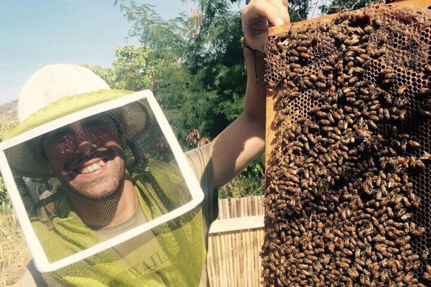 Up close and personal, Joe shows and explains the world of bees!