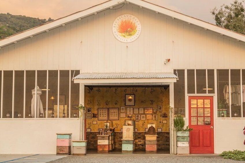 Museum-store