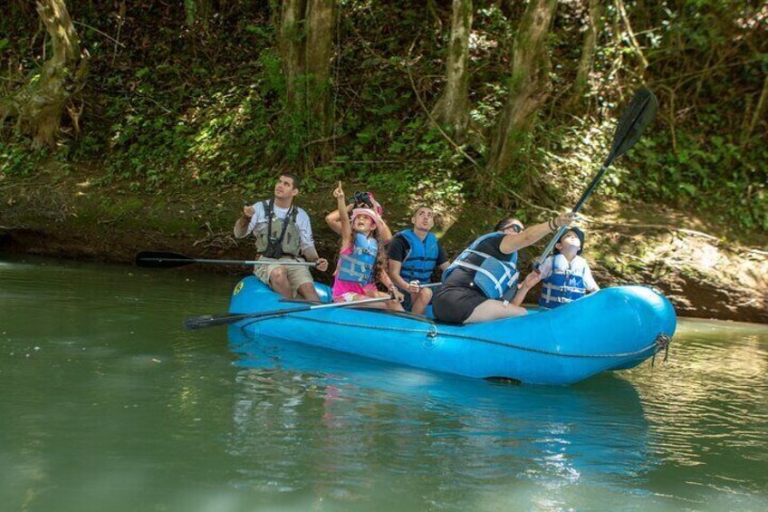 Discover wildlife while floating down the river