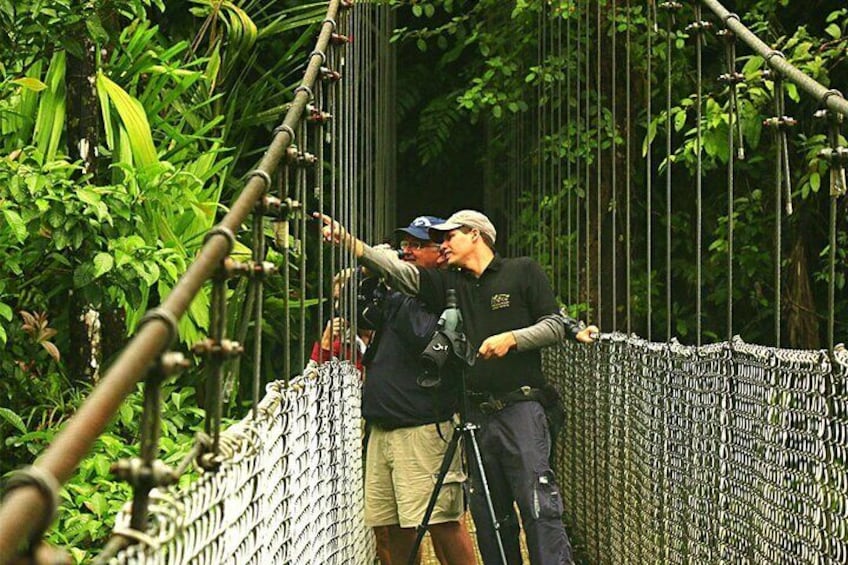 Find wildlife as you walk the hanging bridges