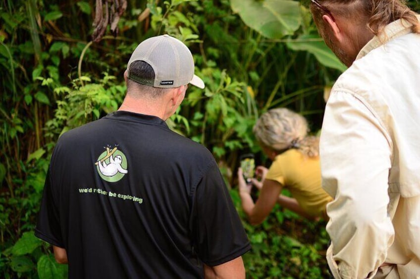 2-in-1 Arenal Combo Tour: Hanging Bridges, La Fortuna Waterfall