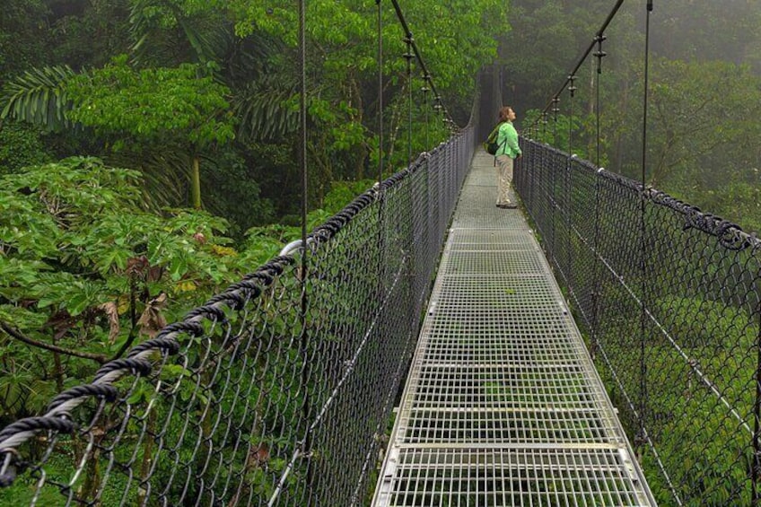 Breath deeply and feel the essence of the rain forest