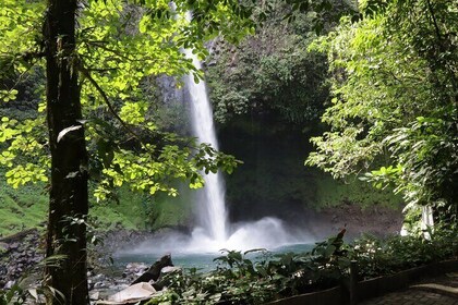 3-in-1 Arenal Combo Tour: Hanging Bridges, La Fortuna Waterfall & Volcano H...