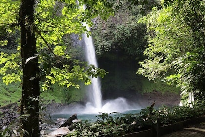 Kombi-Tour in Arenal: Hängebrücken, der Wasserfall La Fortuna und Vulkanwan...