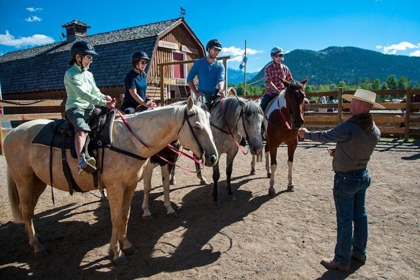 Receive some basic horseback riding instruction