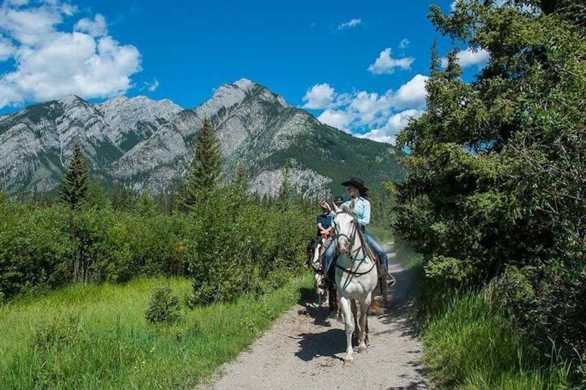 2 Hour Banff Horseback Riding Adventure