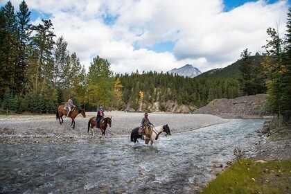 1 timme Spray River Ride