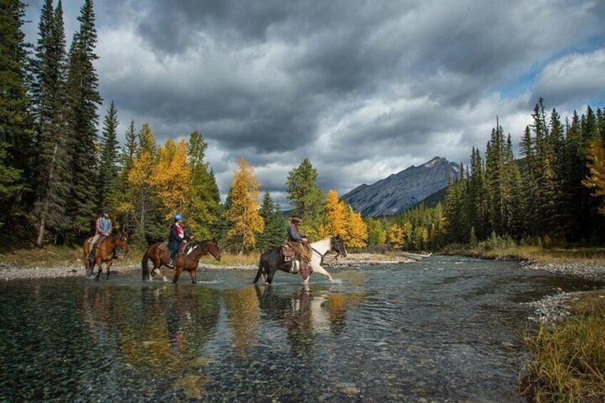 4 Hour Sulphur Mountain Horseback Ride