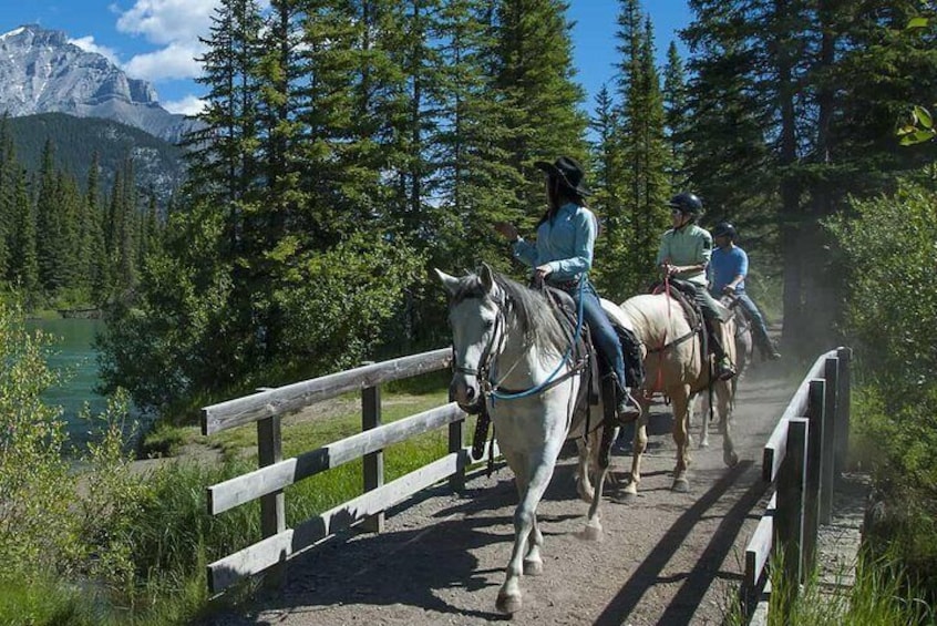 1 Hour Bow River Ride