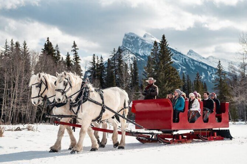 Show item 1 of 8. Horse-Drawn Sleigh Ride in Banff