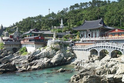 Busan Essential Private Tour with Heaedong Yonggungsa and Gamcheon Village