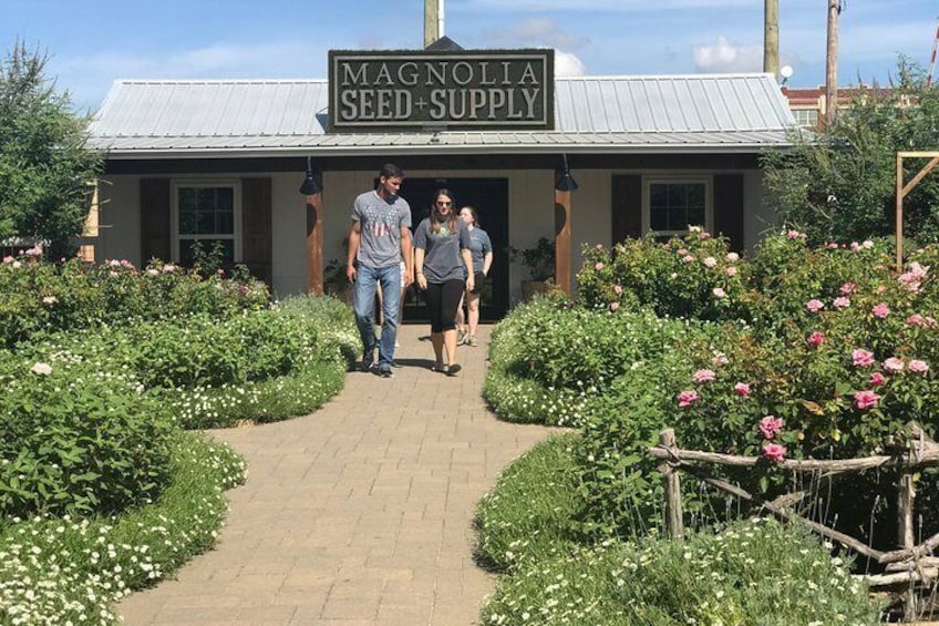 Magnolia Seed and Supply