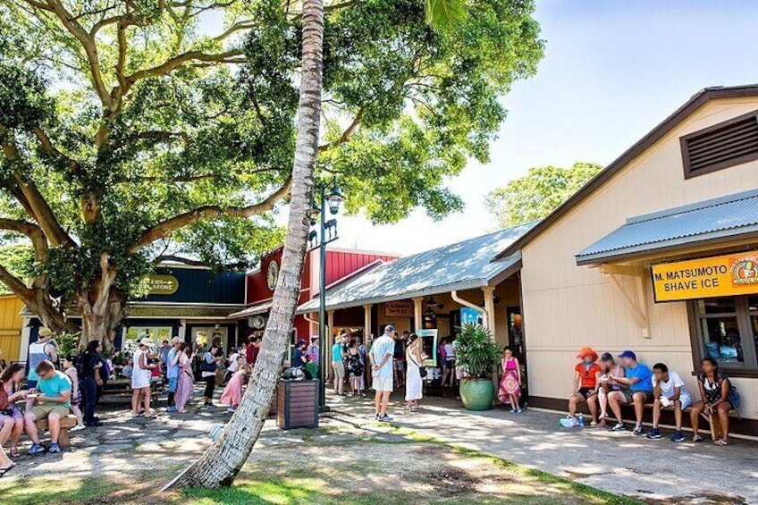 Oahu Circle Island Tour with Byodo-In Temple Admission