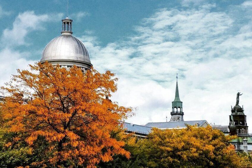 Explore Old Montreal - Small Group Walking Tour