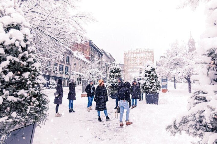 Explore Old Montreal - A Small-Group Walking Tour for the Curious