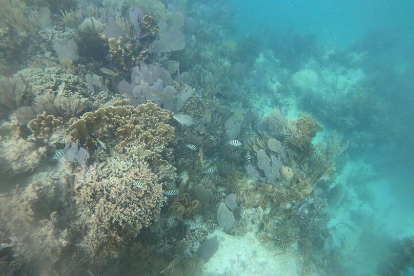 SNORKELING CANCUN