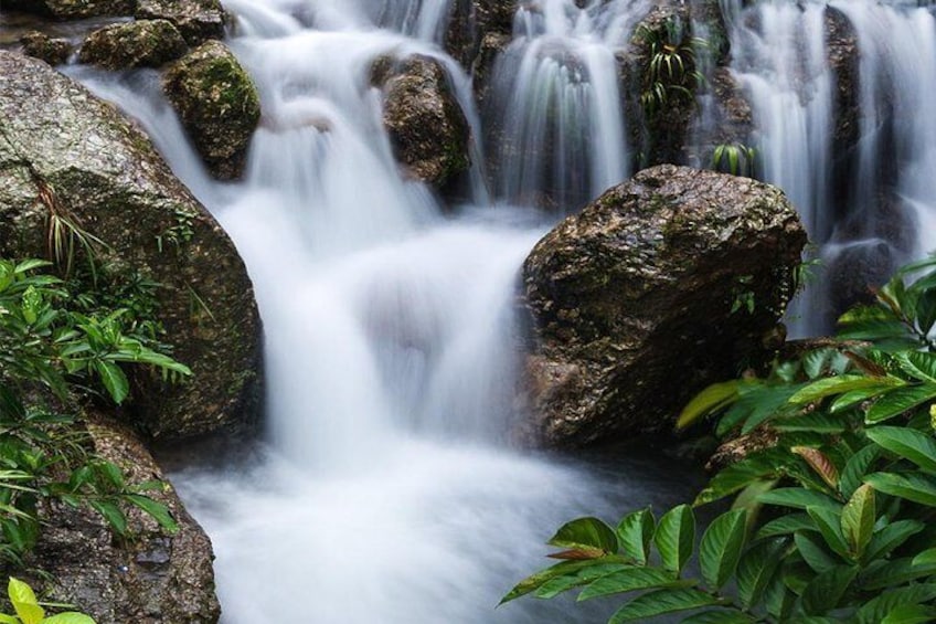 Enjoy Seeing The Magical Ancient Stream At this Amazing Private Tropical Estate 