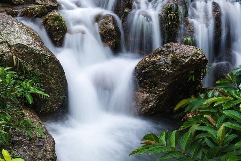 Enjoy Seeing The Magical Ancient Stream At this Amazing Private Tropical Estate