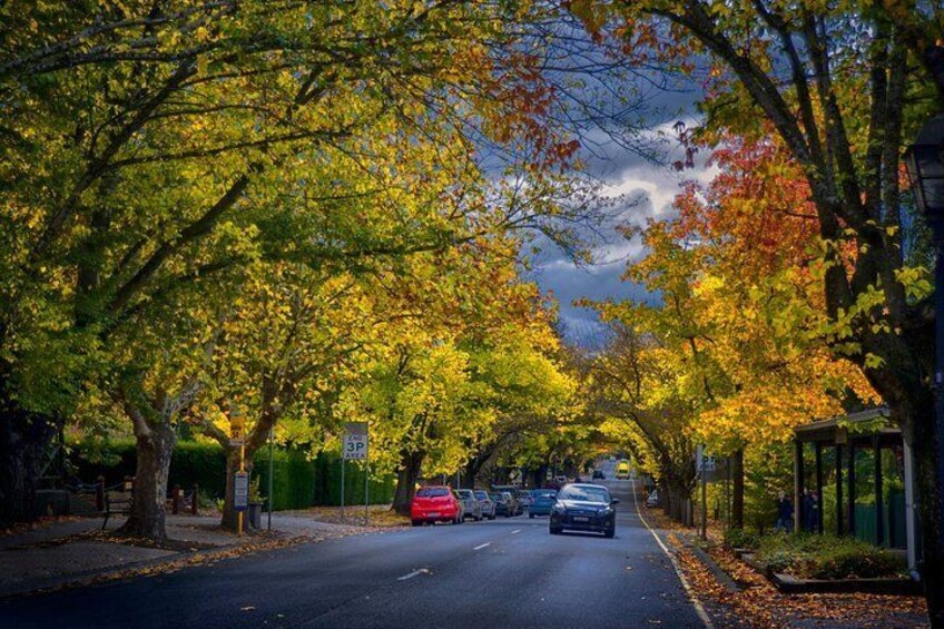 Autumn in Hahndorf, Adelaide Hills