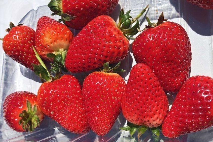 Fresh Strawberries
Beerenberg Adelaide Hills
