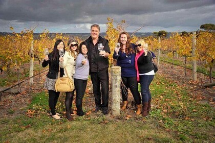 McLaren Vale Winery Small Group Tour with Wine Tasting and Lunch