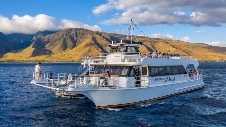 Maui's largest Maxi Power Catamaran operating at 60% of our Coast Guard capacity. Uncrowded, Unhurried, Unmatched