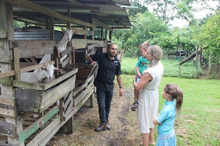 Organic farm tour 