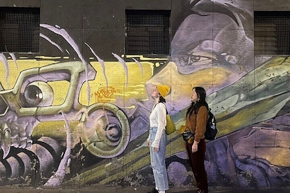 Tour privado de arte callejero en la Ciudad de México