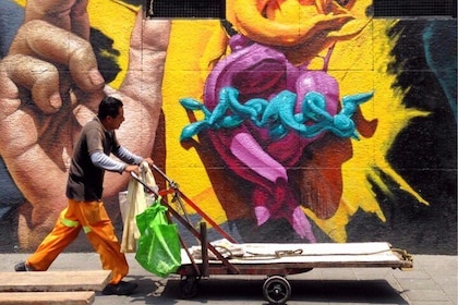 Mexico City Private Street Art Tour