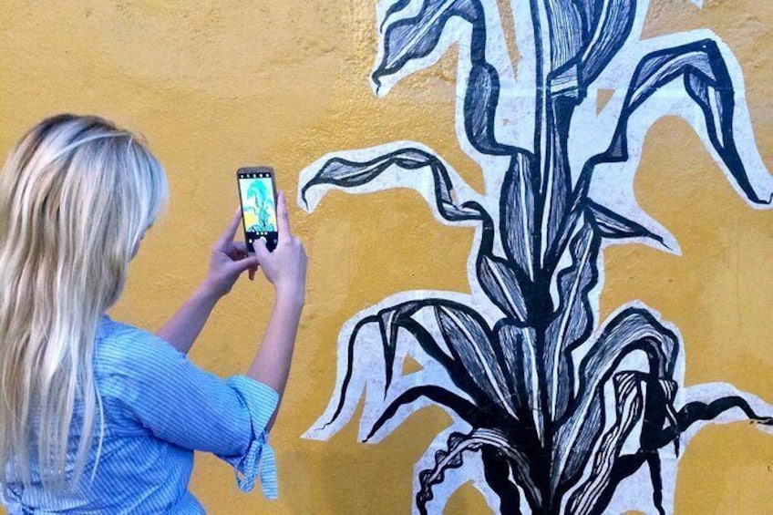 Show item 1 of 10. Oaxaca Street Art Tour