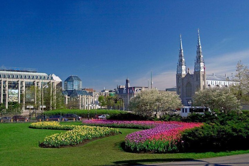 Major’s Hill Park features some of the best lookouts in Ottawa, offering stunning views of the Ottawa Locks on the Rideau Canal, the Ottawa River and the Parliament Buildings.