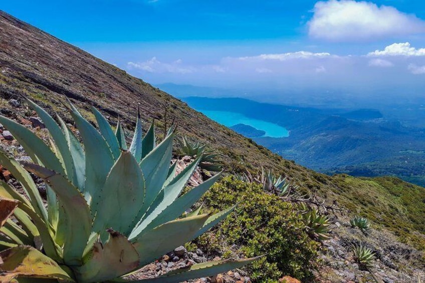 Santa Ana Volcano Hiking Tour and Coatepeque Lake visit