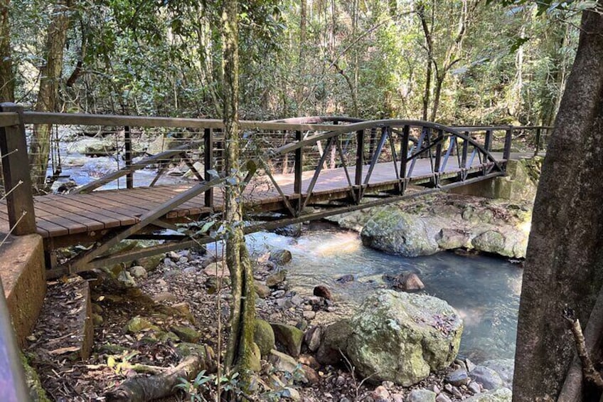 Bridge at picturesque Springbrook.