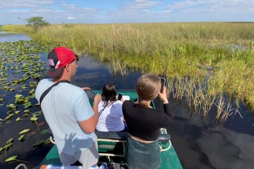 Private 2-Hour Airboat Tour of Miami Everglades