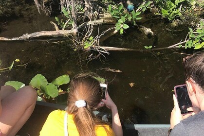 Private 2-Hour Airboat Tour of Miami Everglades