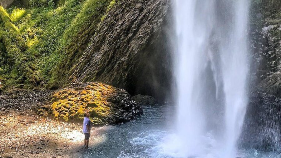 The majestic waterfalls of the Columbia Gorge are up close and personal.