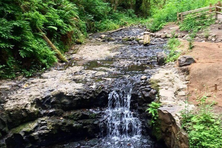 We follow a beautiful creek -- and tell you the dramatic story behind its name