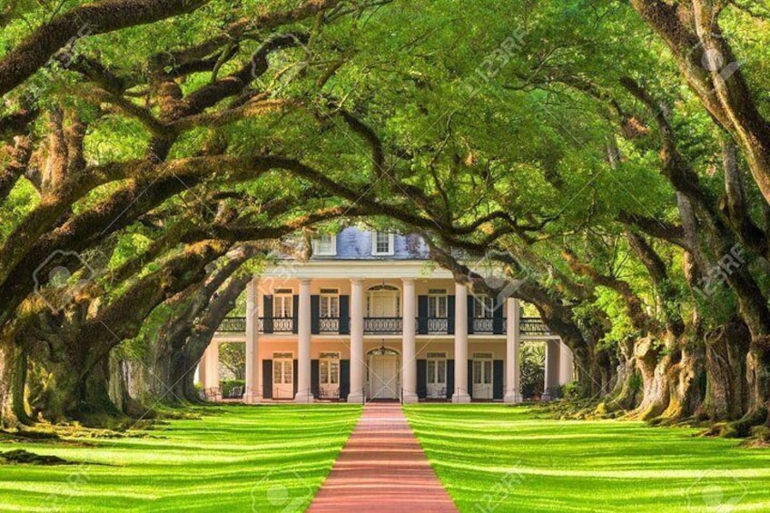 Oak Alley Plantation and Large Airboat Tour